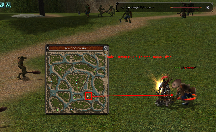 Metin2 PvP Serverda Kostüm ve Pet Sistemleri Dengeli mi?